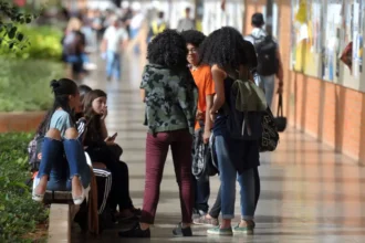 Número de alunos de ensino superior aumenta em 2023 e 2024