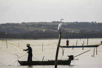 Sexto lote do seguro-defeso será disponibilizado na terça-feira