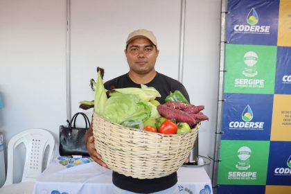 Agricultores irrigantes entregam alimentos para 15,5 mil pessoas em insegurança alimentar
