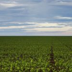 Fazenda estuda Fundo Garantidor para dívidas rurais