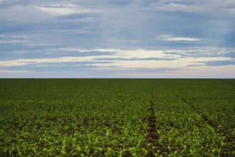 Fazenda estuda Fundo Garantidor para dívidas rurais