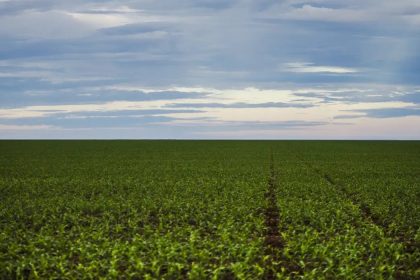 Fazenda estuda Fundo Garantidor para dívidas rurais