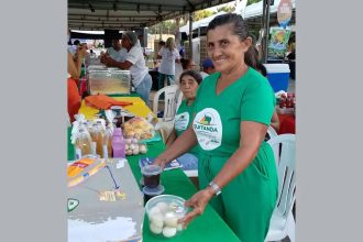 Agricultores familiares aumentam renda em 30% com programa federal 