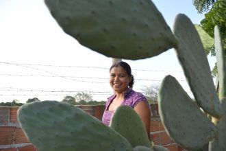 Mulheres comandam produção em duas em cada dez propriedades rurais