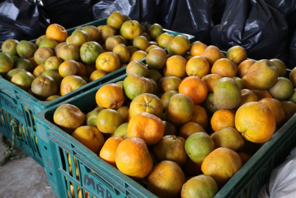 PAA Estadual distribui mais de 14 toneladas de alimentos para famílias de Santana do São Francisco