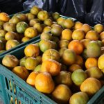 PAA Estadual distribui mais de 14 toneladas de alimentos para famílias de Santana do São Francisco