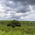 Previsão indica semana com predomínio de céu parcialmente nublado em Sergipe