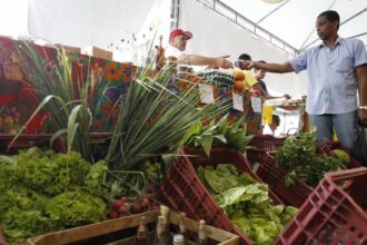 Decreto adia exigência de CNPJ para autônomos e produtores rurais