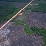 Eco Invest Brasil promove quinto leilão para financiar inovação