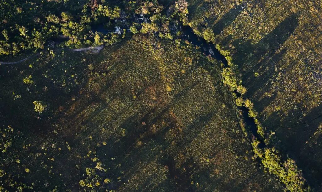 Financiamentos de projetos rurais sustentáveis terão juros mais baixos