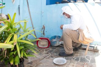 Quarto LIRAa de 2026 apresenta redução de municípios com alto índice de infestação do mosquito Aedes aegypti