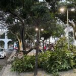 Vendaval ainda causa danos a moradores do Rio de Janeiro