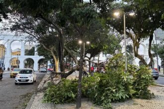 Vendaval ainda causa danos a moradores do Rio de Janeiro