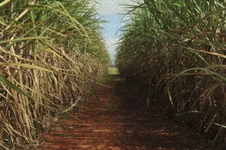 Conselho eleva limite de remuneração do Eco Invest Brasil