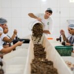 Consulta sobre bens sustentáveis no acordo Mercosul–UE acaba na quarta