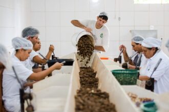 Consulta sobre bens sustentáveis no acordo Mercosul–UE acaba na quarta
