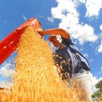 IBC-Br recuou 0,6% em junho, diz Banco Central