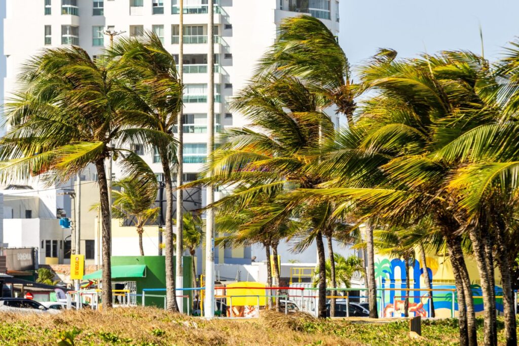 Previsão indica início de semana com ventos moderados a fortes