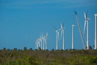 Projeto mapeia caminhos para economia verde no Nordeste