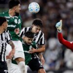 Botafogo segura Palmeiras e ajuda Flamengo, novo líder do Brasileirão