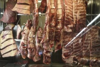 Cota chinesa faz exportação de carne bovina recuar 27,1% em agosto