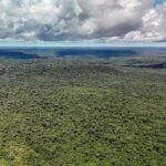 Fazenda autoriza crédito de US$ 1 bilhão do BID para Eco Invest Brasil