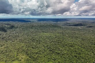 Fazenda autoriza crédito de US$ 1 bilhão do BID para Eco Invest Brasil