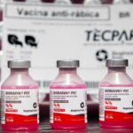 Saúde de Sergipe distribui 350 mil doses de vacina antirrábica animal aos municípios