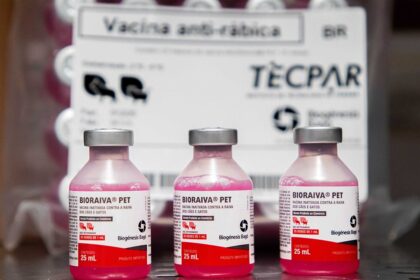 Saúde de Sergipe distribui 350 mil doses de vacina antirrábica animal aos municípios